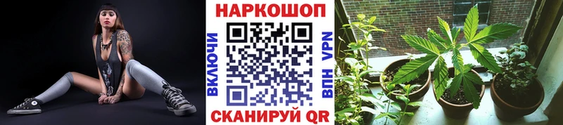 Магазины продажи наркотиков Нижние Серги COCAIN  Гашиш  Галлюциногенные грибы  Каннабис  MDMA  АМФ 