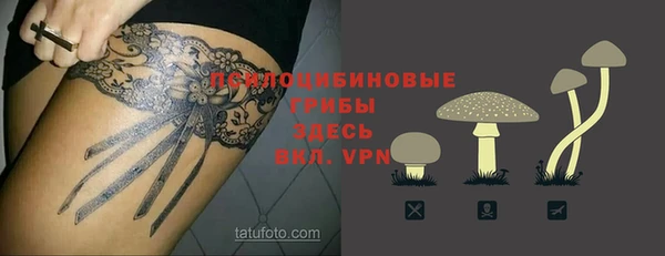 спайс Медвежьегорск