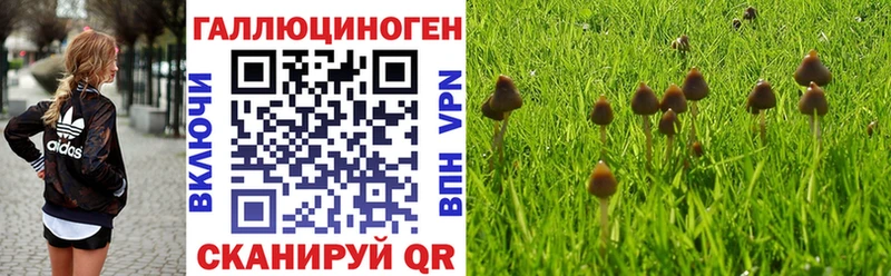 Псилоцибиновые грибы Cubensis  это наркотические препараты  Нижние Серги 